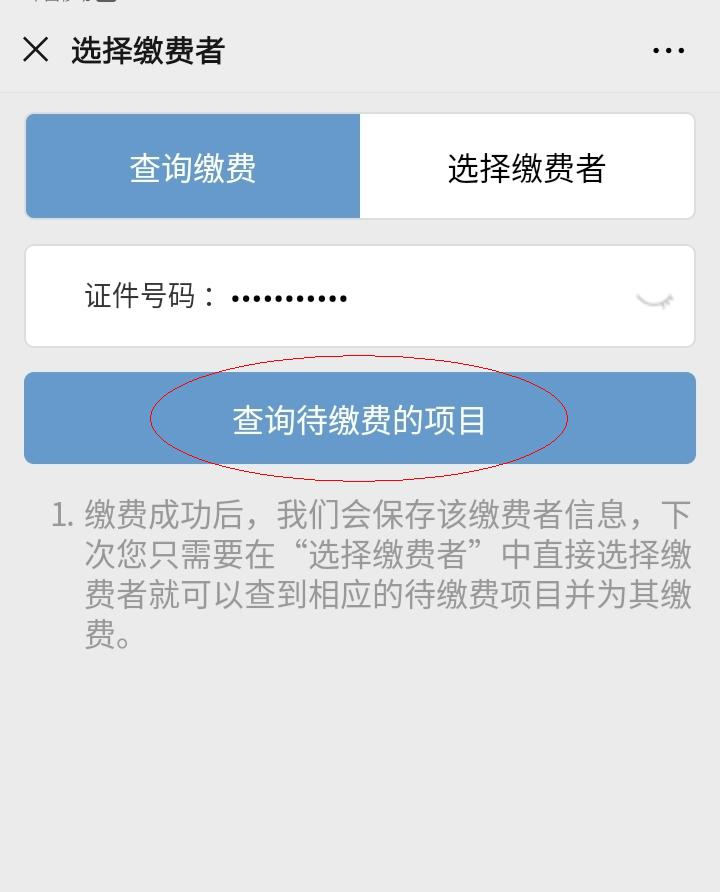 第四步:核对无疑义后点击"支付"进行缴费